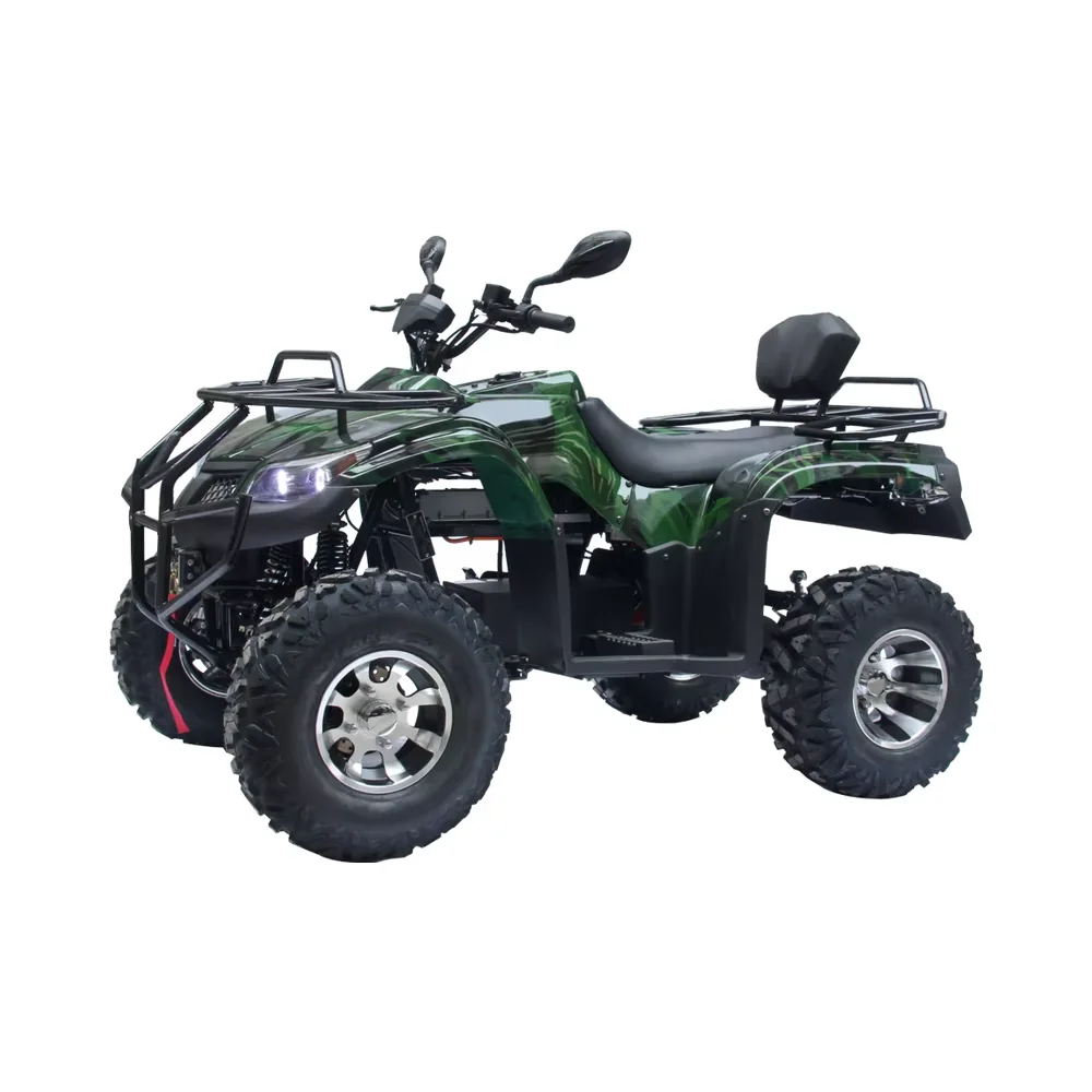 Custom 3000W Electric ATV Motorcycle Automatic 4WD Quad Bike with 60V Voltage for Kids and Adults
