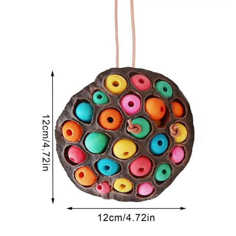 연꽃 포드 모양 새 앵무새 물기 방지, 자연 씹기 및 먹이 잡기 장난감, 앵무새 칵테일 엔터테인먼트 애완 동물 용품