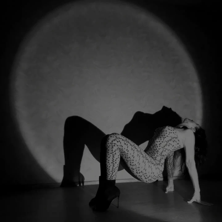 أزياء نمط بذلة المرأة الساخنة ليوبارد مثير طويلة الأكمام الرسن ارتداءها سيدة تيدي الجنس ازياء الملابس غير المتكافئة