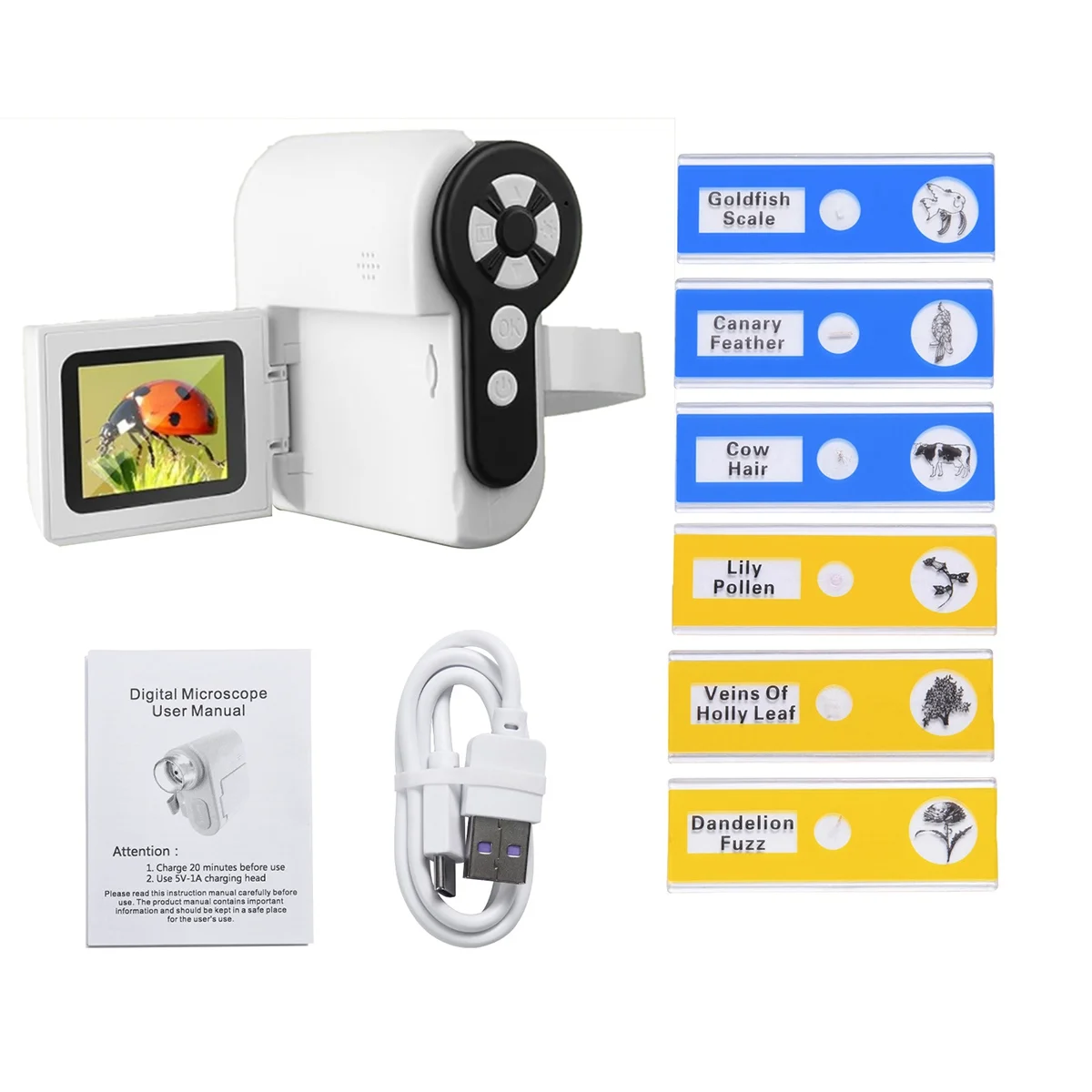 Microscopio Microscopio DV per bambini Microscopio 1000X con 6 luci LED regolabili LCD da 2 pollici