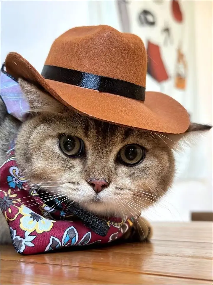 Cool Cat Dog Pet Hat Headwear Western Cowboys Adjustable Costume Mini Birthday Party Photo Shoots Cosplay Accessories Outdoor