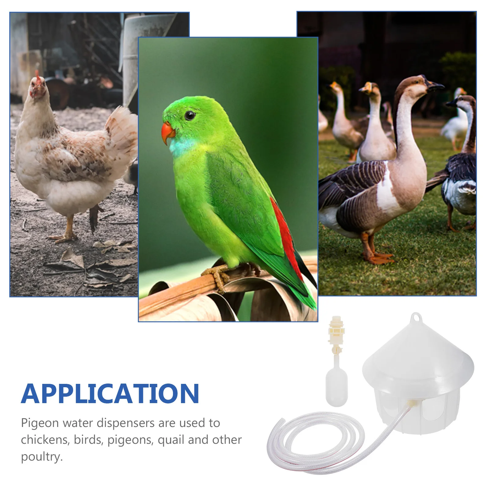

Plastic Pigeon Bird Water Feeder Full-Automatic Durable Water Dispenser Large Capacity Portable Cage Drinking Fountain