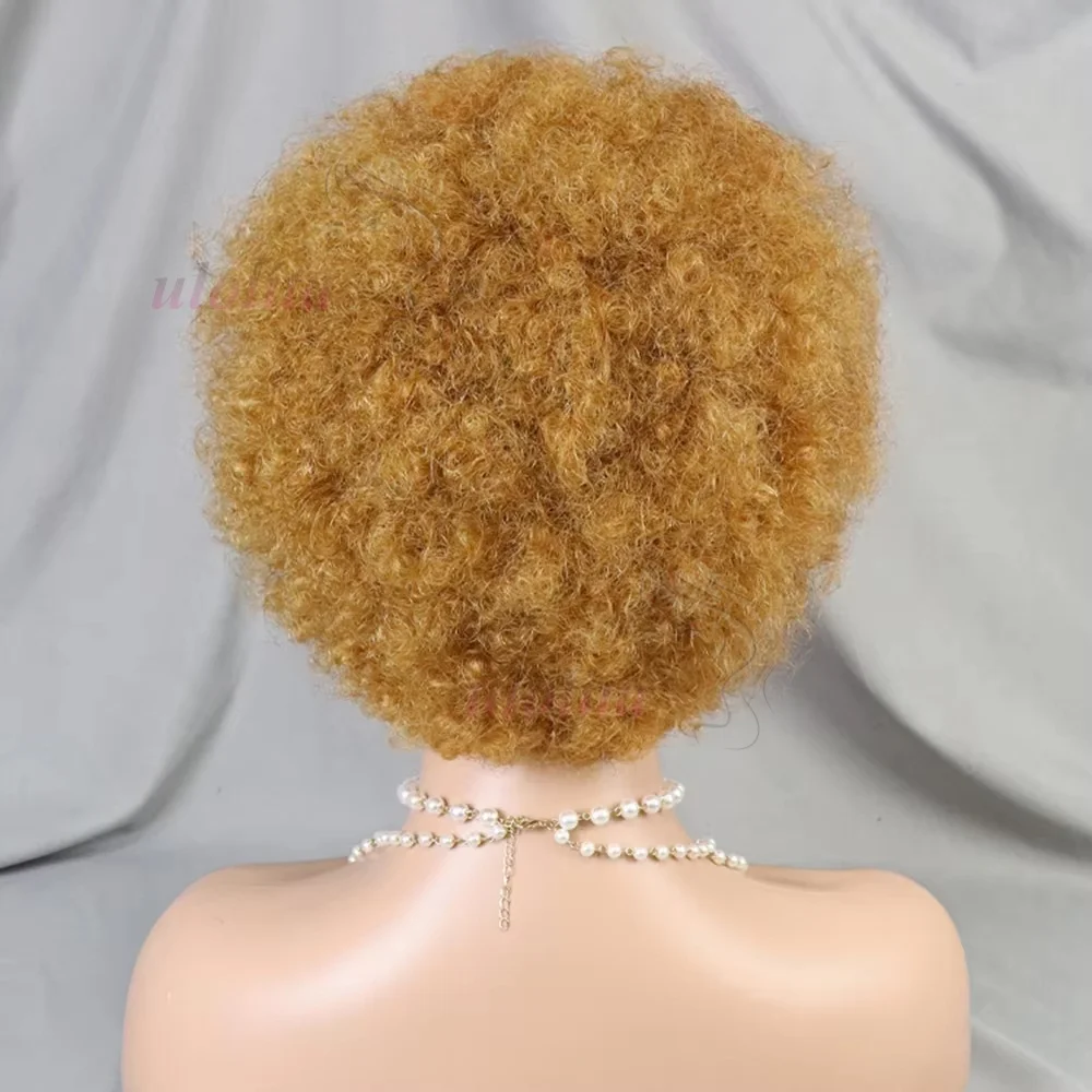 Highlight Ombre Geflochtene Perücken Echthaar Afro Puff Lace Frontal Haarperücken Afro Kinky Curly Echthaar 13x4 Lace Front Vorgeflochten – Detail 32