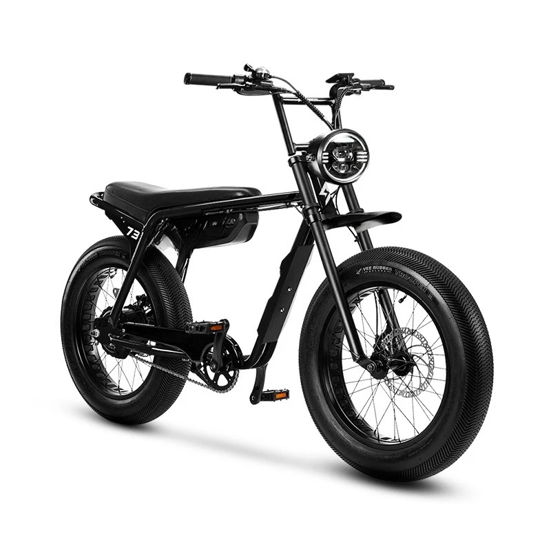 

S12zx electric bicycle retro power off-road motorcycle mountain bike battery car men and women