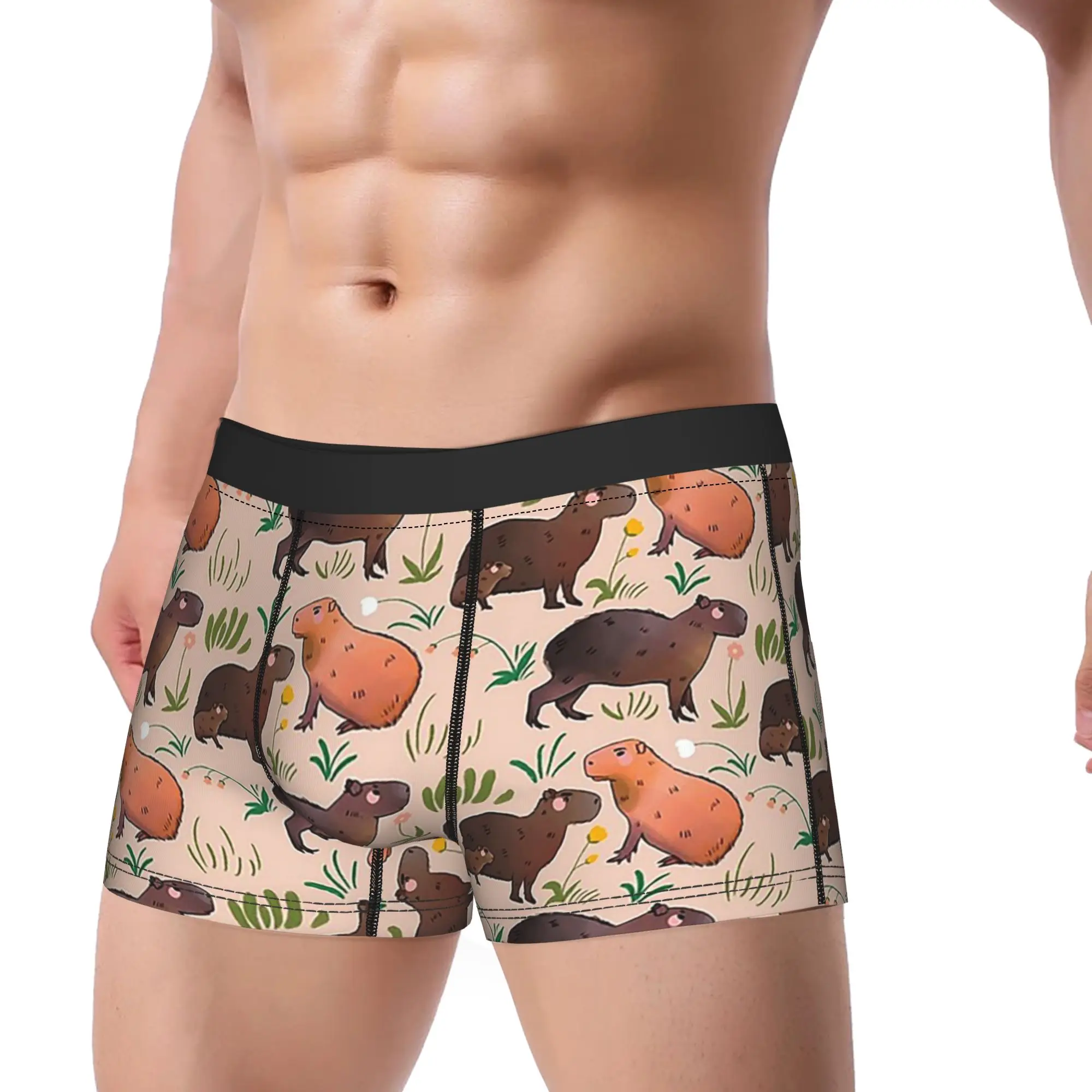Men Capybara Cute Green Animal Pattern Boxer Briefs Shorts Panties Breathable Underwear  Male Sexy Plus Size Underpants