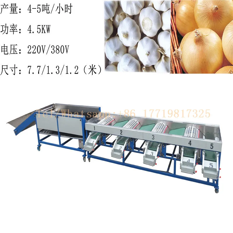 

5 grades level garlic washing machine with garlic size sorting machine grader for sale