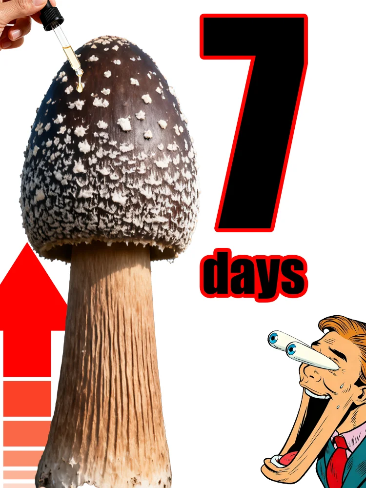 Natural non irritating essential oils promote circulation and absorption quickly without side effects, making the body thick and