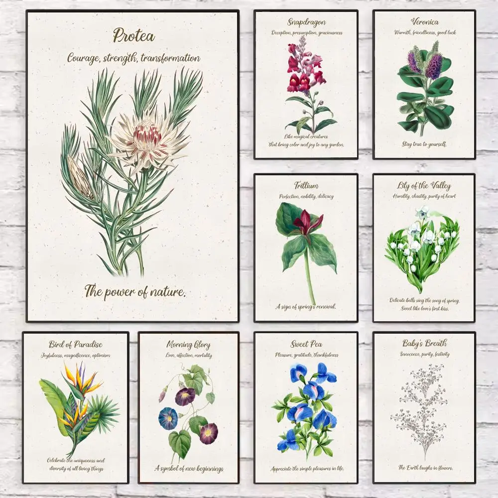 

Floral Meaning Symbolism Quote Poster Wall Art Sticky for Living Room Bedroom Office Hallway Bar Home Decor Gift Idea