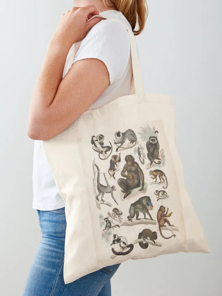

Vintage zoology illustration - Monkeys Tote Bag Women's shopper bag shopping bag logo bags woman 2025 Canvas stote