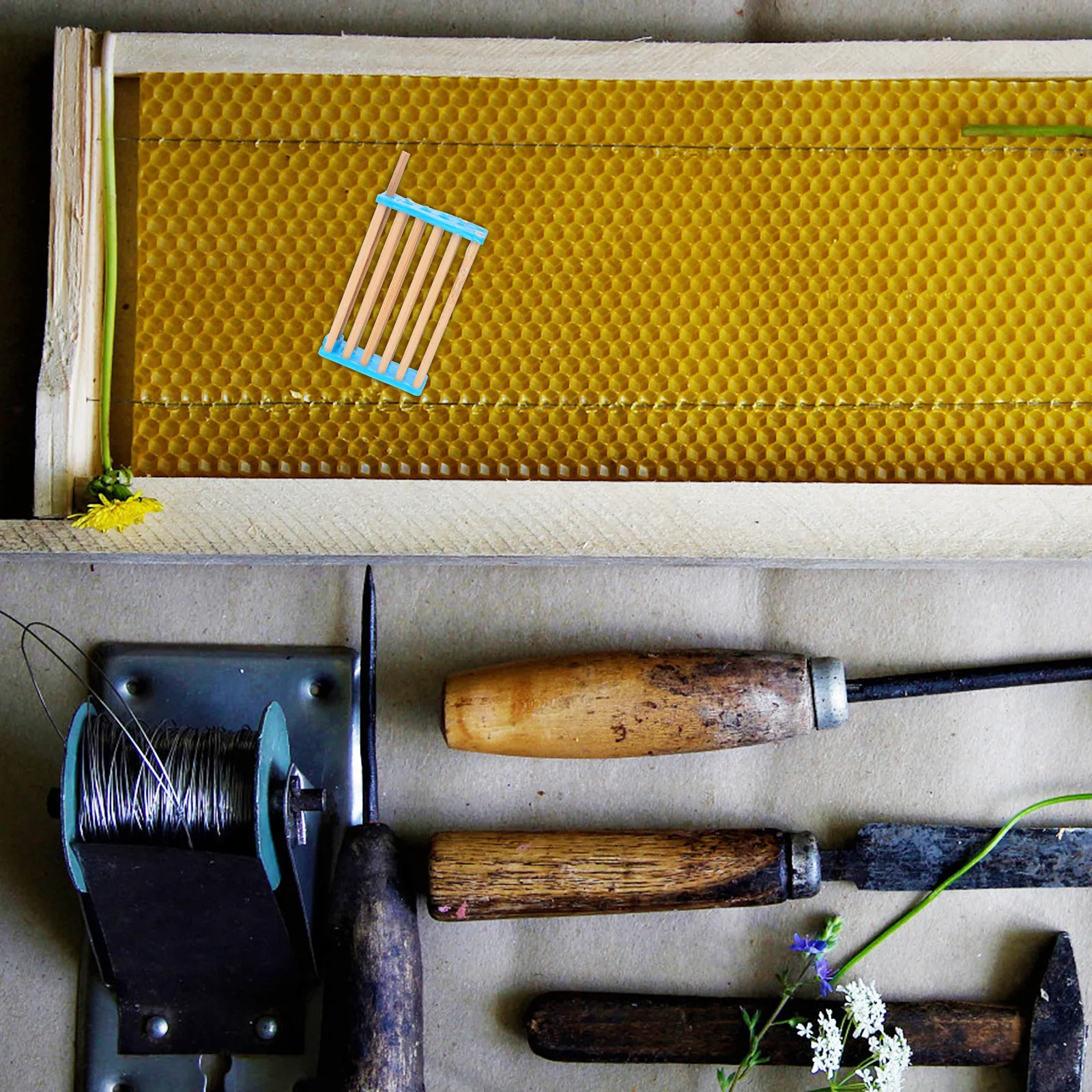 10Pcs Catching Cage Reliable Beekeeping Tool for Queen Isolation Safe Transport Hive Inspection Colony Division Work