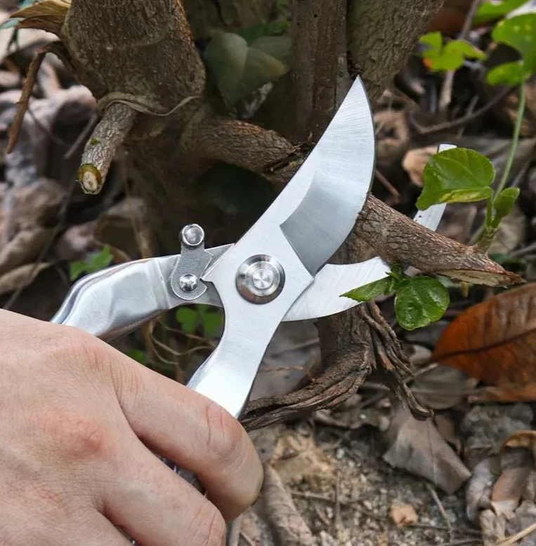 Cesoie da potatura da giardino interamente in acciaio, potatrice a gomito con rimbalzo automatico e set di forbici per la raccolta della frutta, strumento da giardinaggio durevole