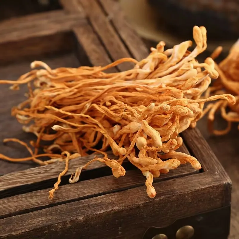 زهور كورديسيبس المجففة - عشبة مجففة طبيعية للحرف اليدوية والديكور والاستخدامات العطرية |   جودة ممتازة، نابضة بالحياة وعطرة