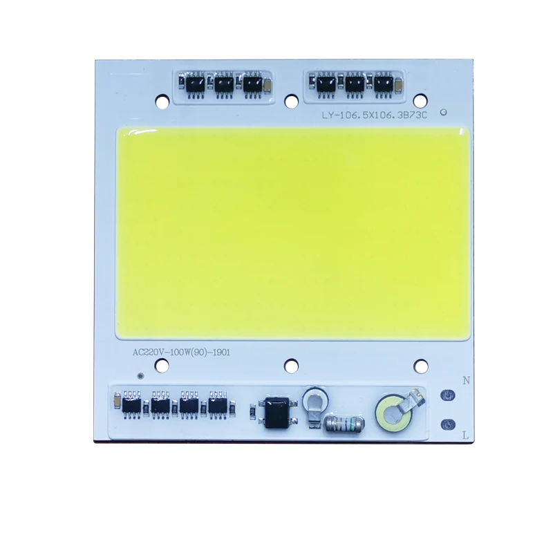 100W LED Chip COB lamp AC 220V 240V IP65 Smart IC No Need Driver DIY Flood light Led Bulb Spotlight Outdoor Lamp bead