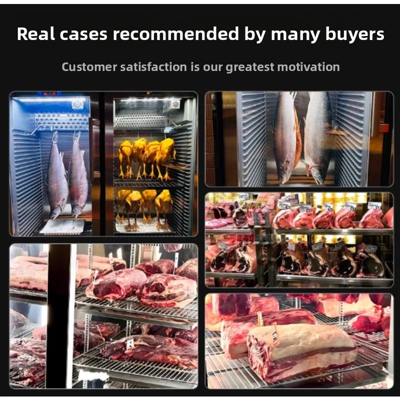 2026 Hot Sale Beef Ripening Cabinet, Commercial Dry Steak Pickling Cabinet, Wet Western Cuisine Constant Temperature Air-cooled