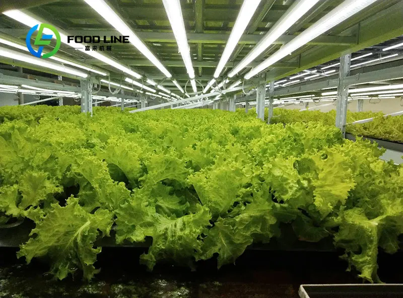 For Greenhouse Hydroponic Fully Automated 40Ft Container Farm WiFi Remote Control PLC Core EBB Irrigation for Microgreens