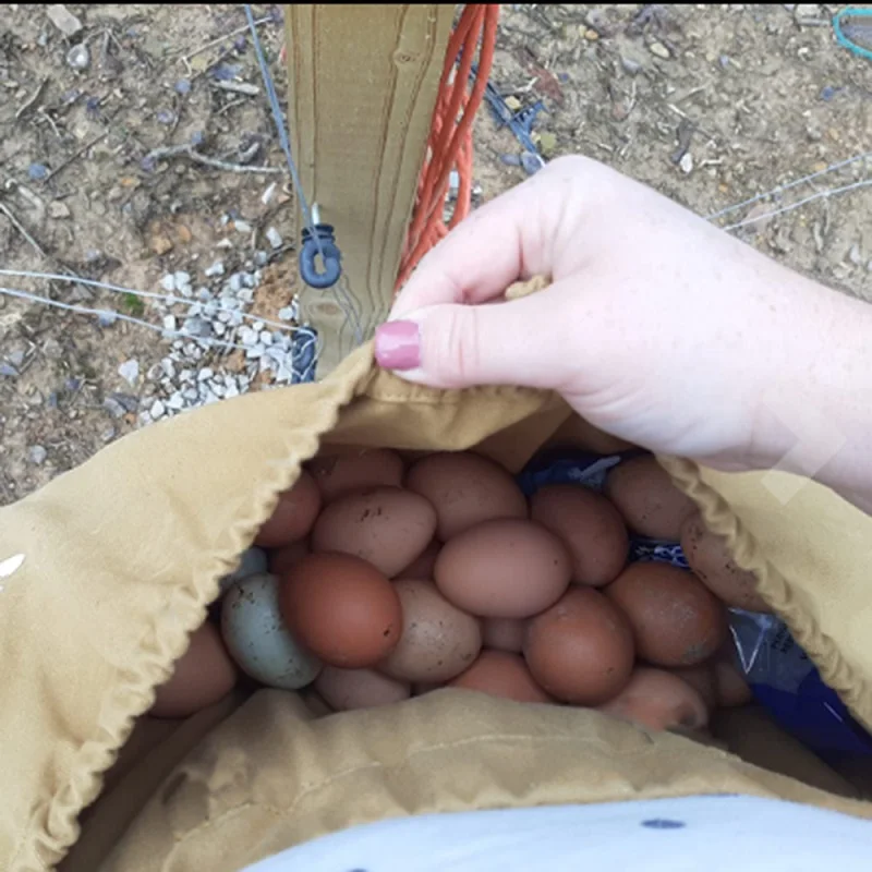 Bolsa de almacenamiento Vintage para jardín y jardín, Kit de herramientas colgantes de cintura para fruta, bolsa de almacenamiento de bayas de