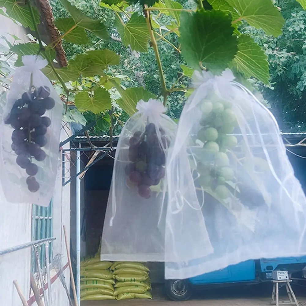 100pcs Mesh Grapes Fruit Grow Bags Breathable Generic Vegetable Plant Protection Bags White Grape Protection Cover