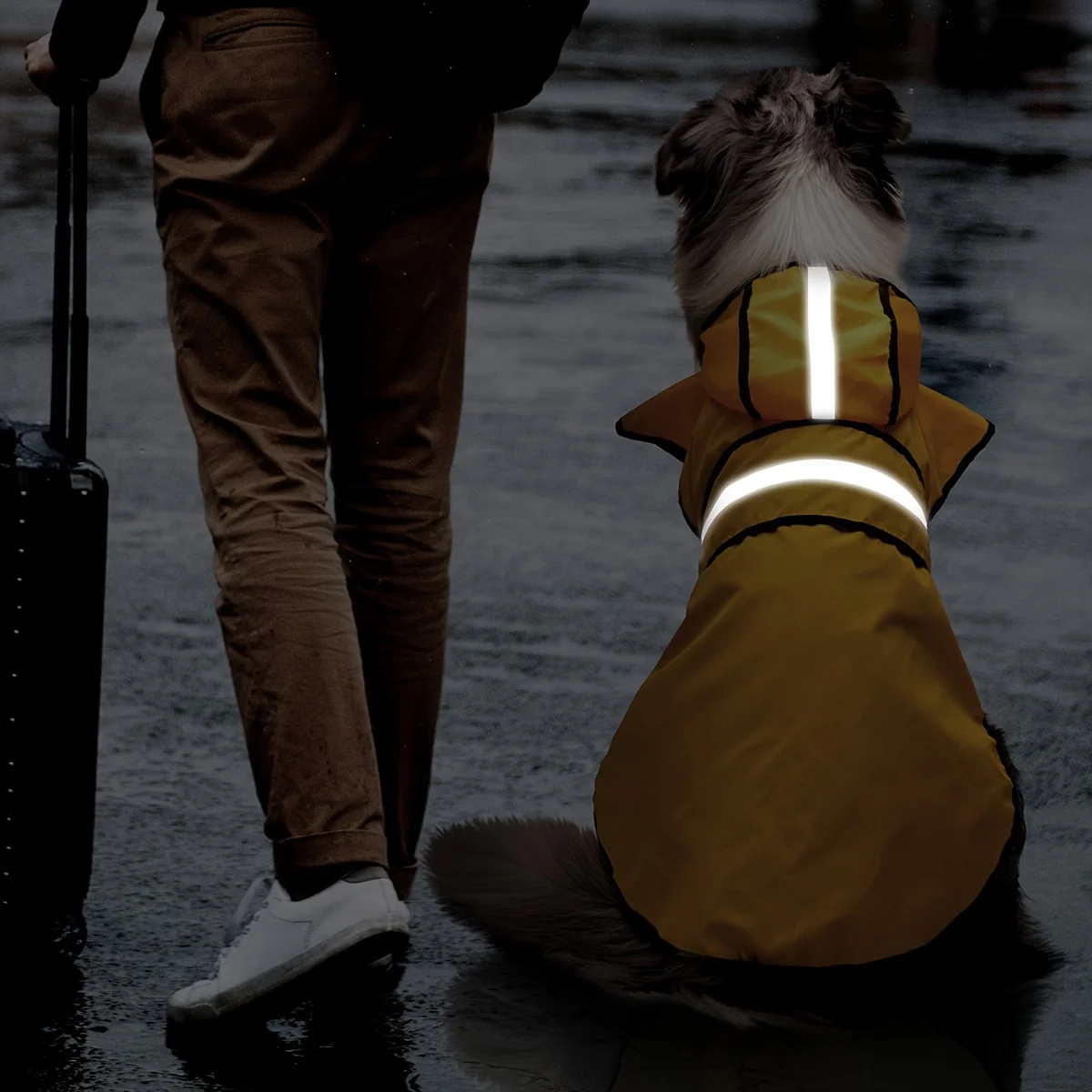 7-Größen Hunde-Regenmantel mit Kapuze - Verstellbarer Leichter Reflektierender Haustier-Regenmantel, Geeignet für Kleine, Mittlere und Große Hunde – Detail 5