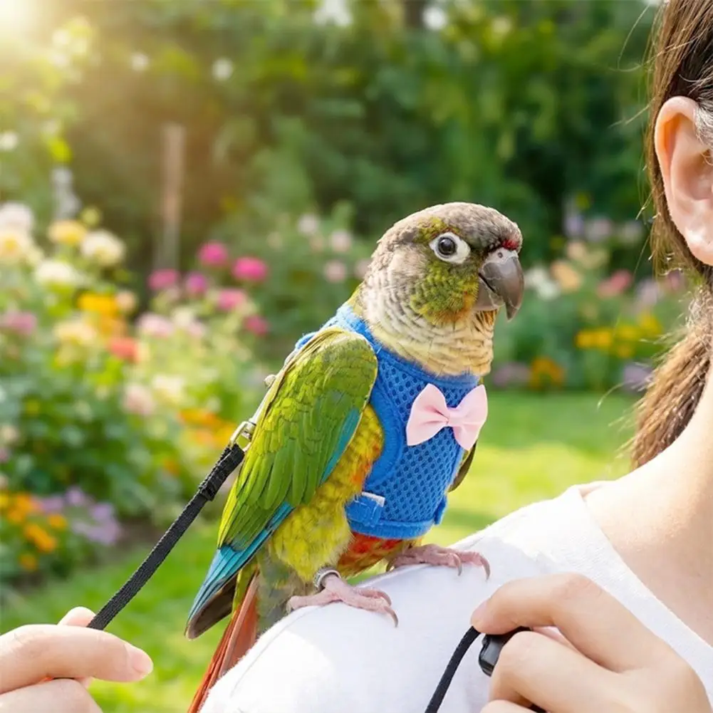 Parrot Bird Harness Breathable Pet Vest Bird Harness Leash Set Breathable Mesh Parrot Flight Suit for Cockatiels