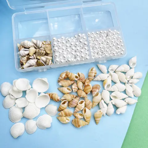 6 best sales shells - №4