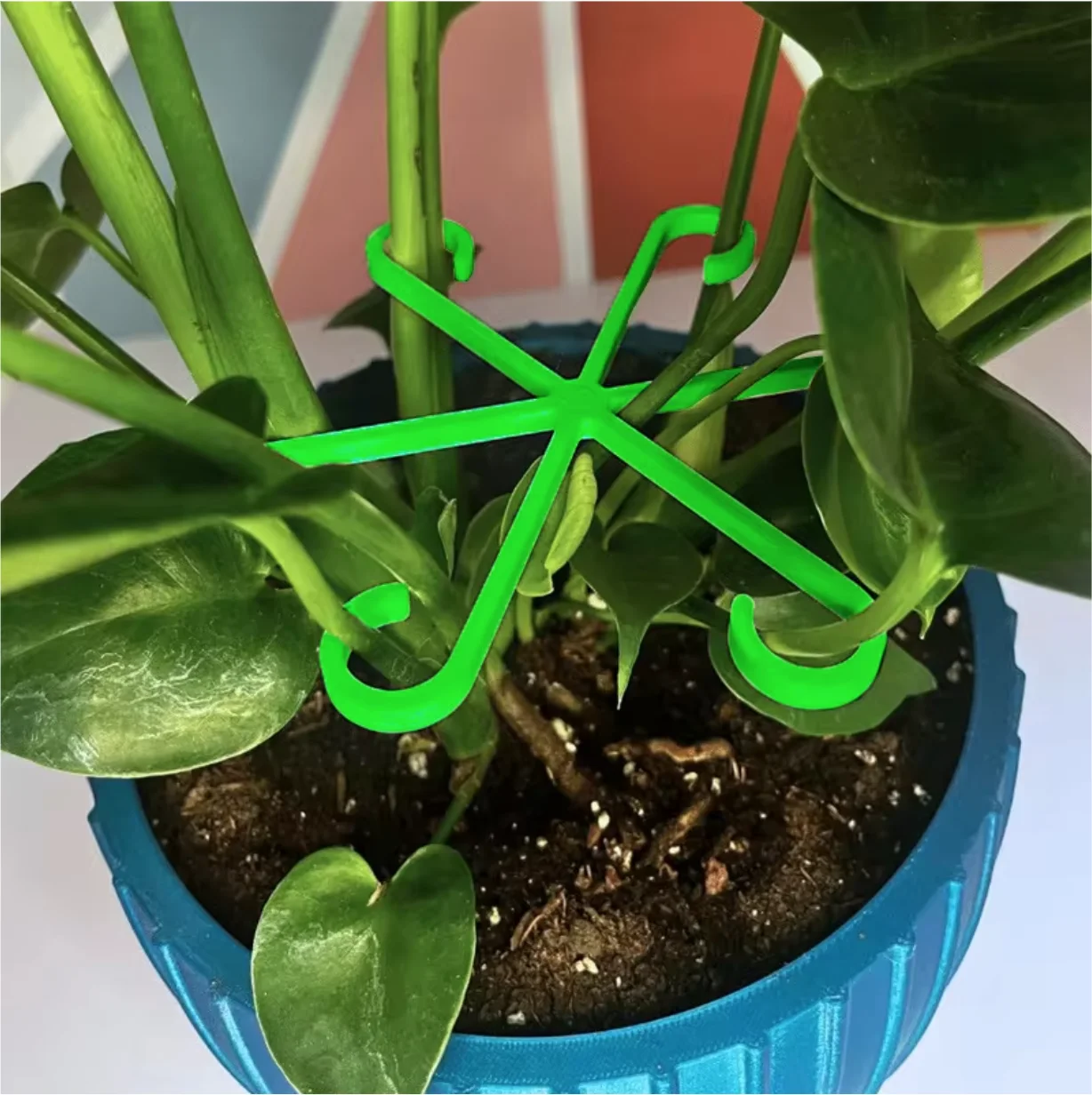 Gardening Plant Rhizome Support Clip Hydroponic Flower Branch Fixer Monstera Anti Tipping Green Plant Stabilizing Tool