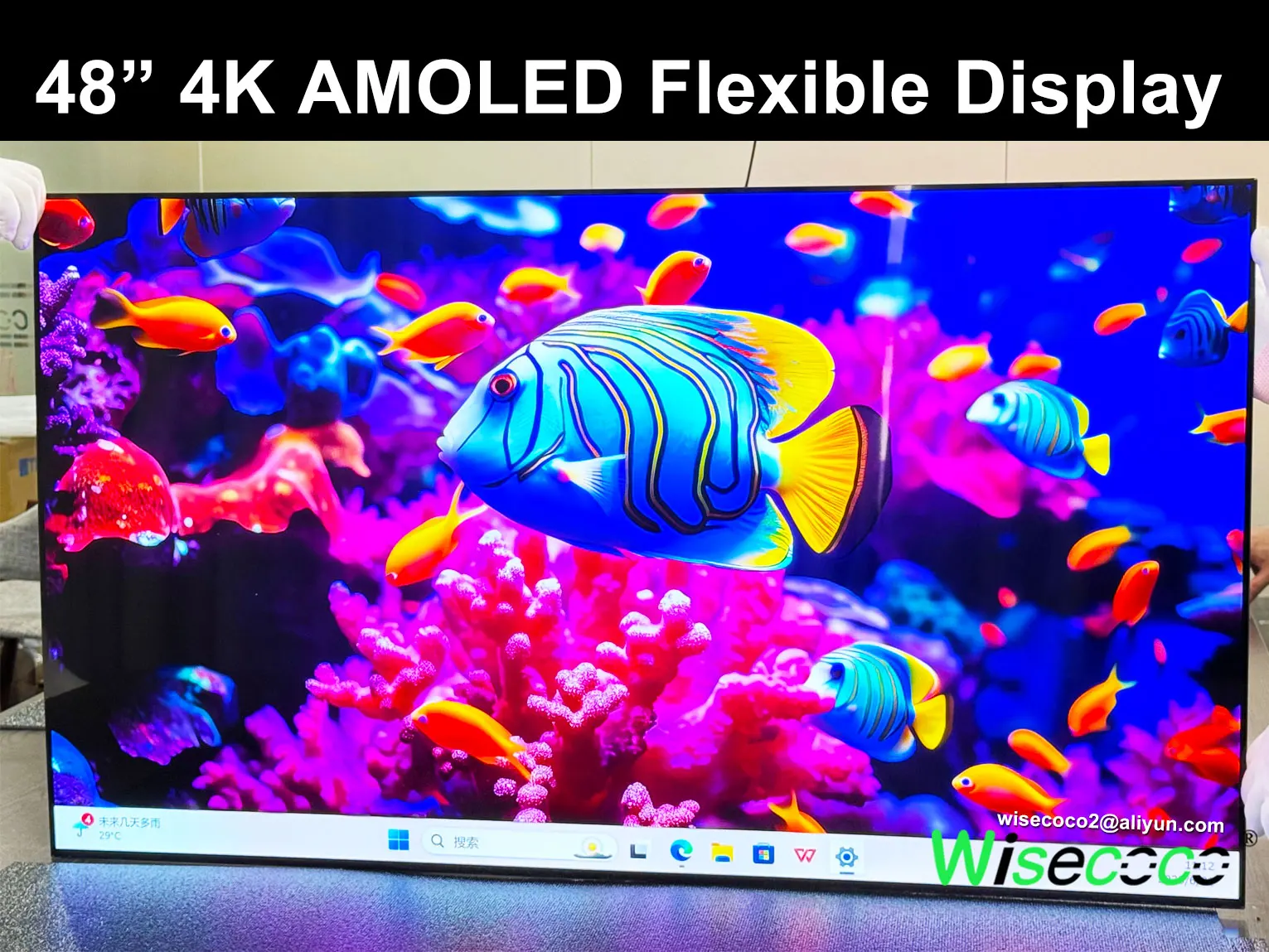 

48 Inch 4K Flexible Display 3840x2160 IPS OLED Ultra-thin Bendable Screen 120Hz