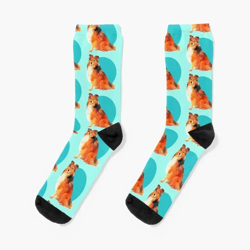

Cute Sheltie Shetland Sheepdog on teal background graphic design art Socks Novelties set retro Male Socks Women's