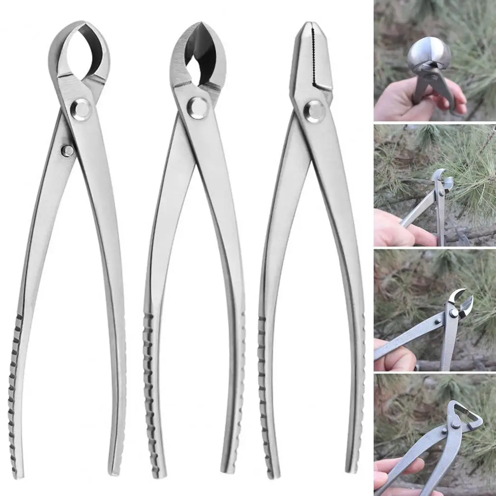 Stainless Steel Bon… - image