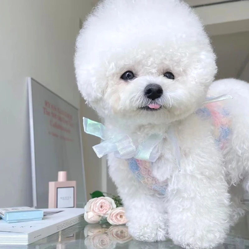 

Maltese Princess Dress Pet Blue Rose Halter Summer Coolred Dog Clothes Teddy Pretty Dress Female Dog Clothes