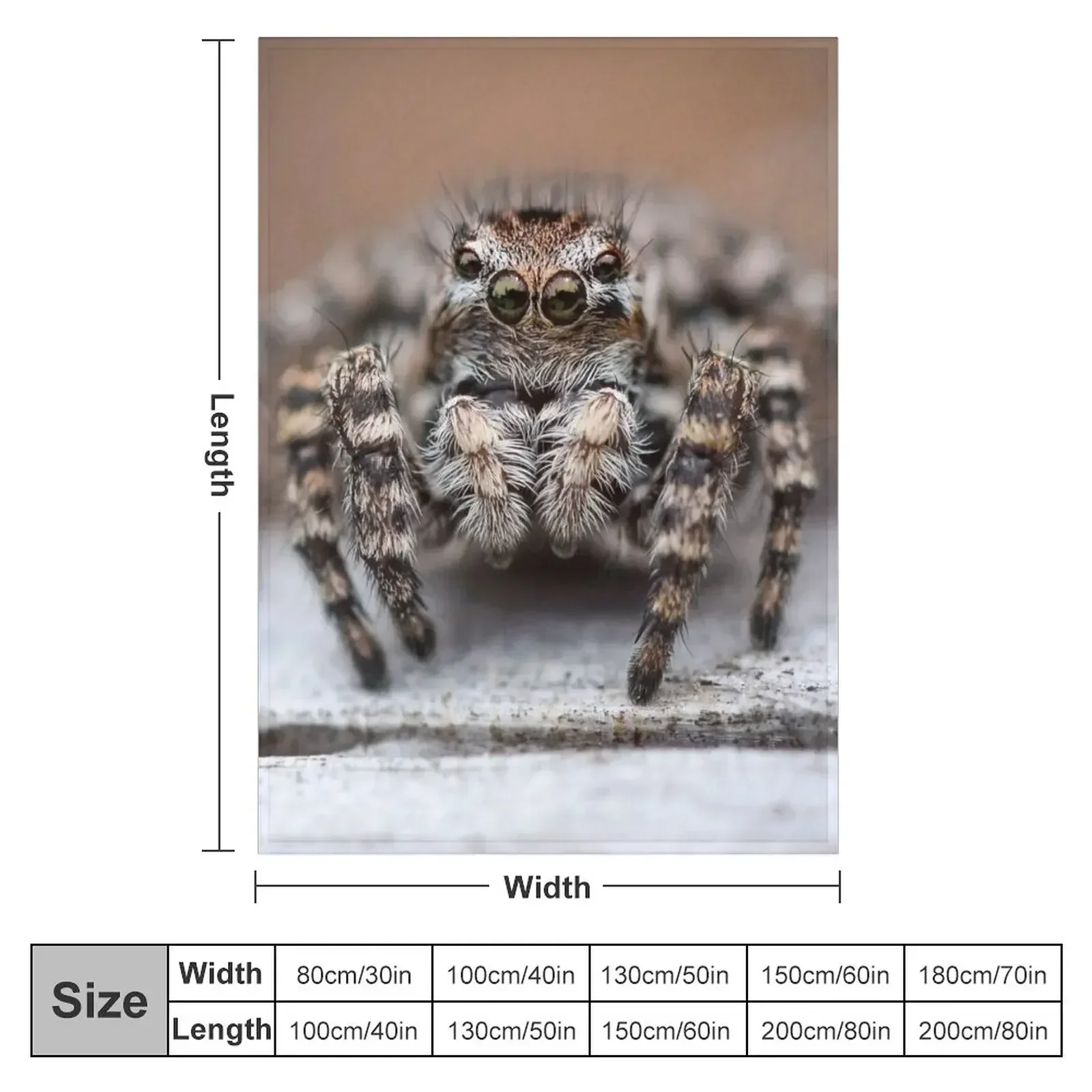 Cute Jumping Spider Macro - Jumping Spider Lovers Gift Throw Blanket Soft Big Soft Plaid Luxury Brand Blankets