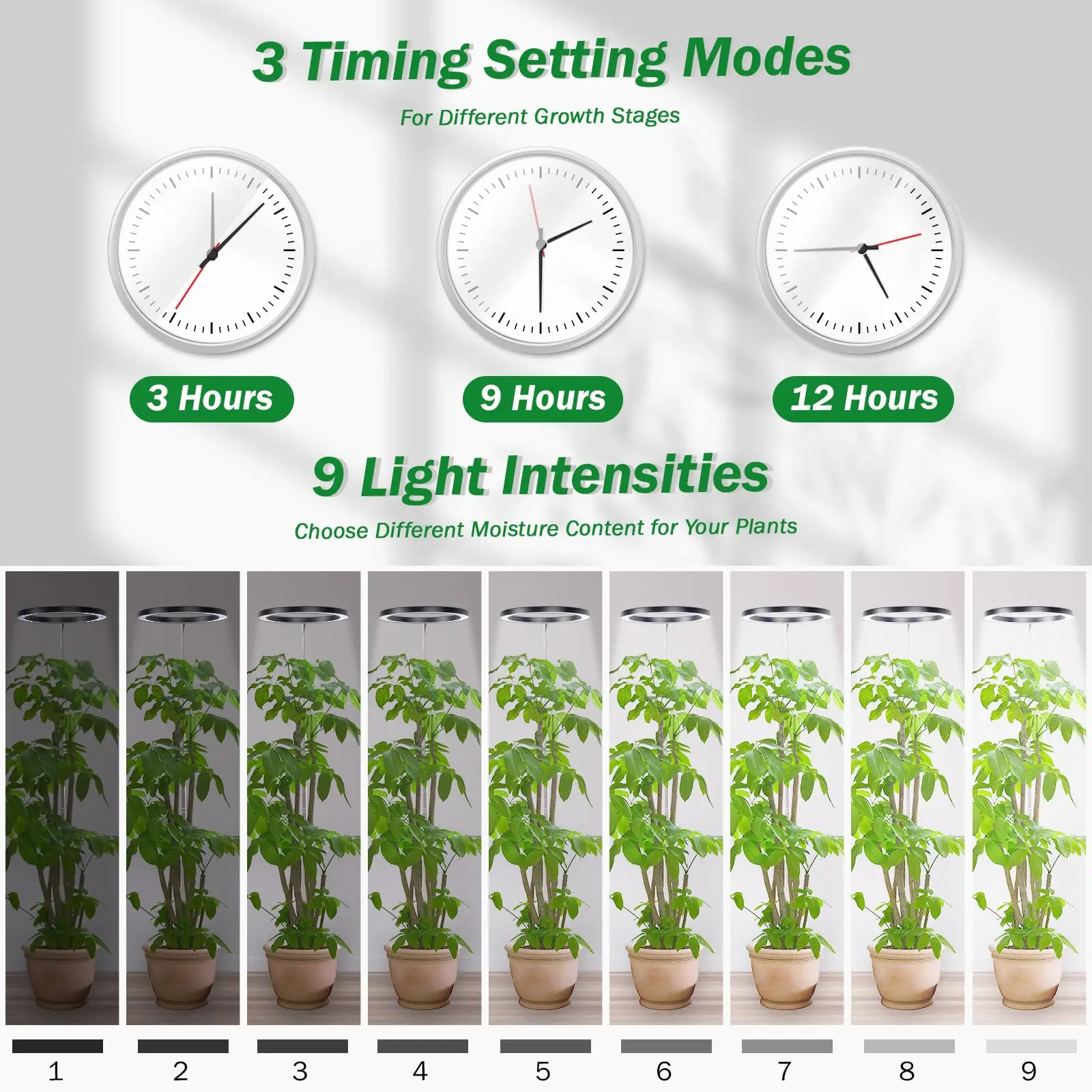 Imagem -03 - Grow Lights Stand para Plantas de Interior Altura Máxima de Espectro Total 160cm Ajustável com Temporizador de Ligar e Desligar Automático 72leds 6000k h h 12h