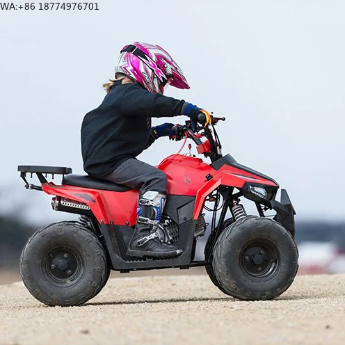 Cuatrimoto Tao Motor con Tracción de Cadena, 110cc Mudhawk 110 con EPA ECE