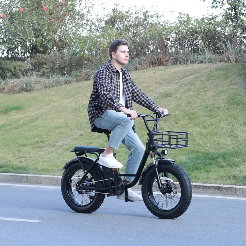 

Ebike Freego Electric Bike 20" x 4 Fat Tire Electric Bicycle 48V 25AH Removable Battery with Front and Rear Cargo Rack 2 Seater