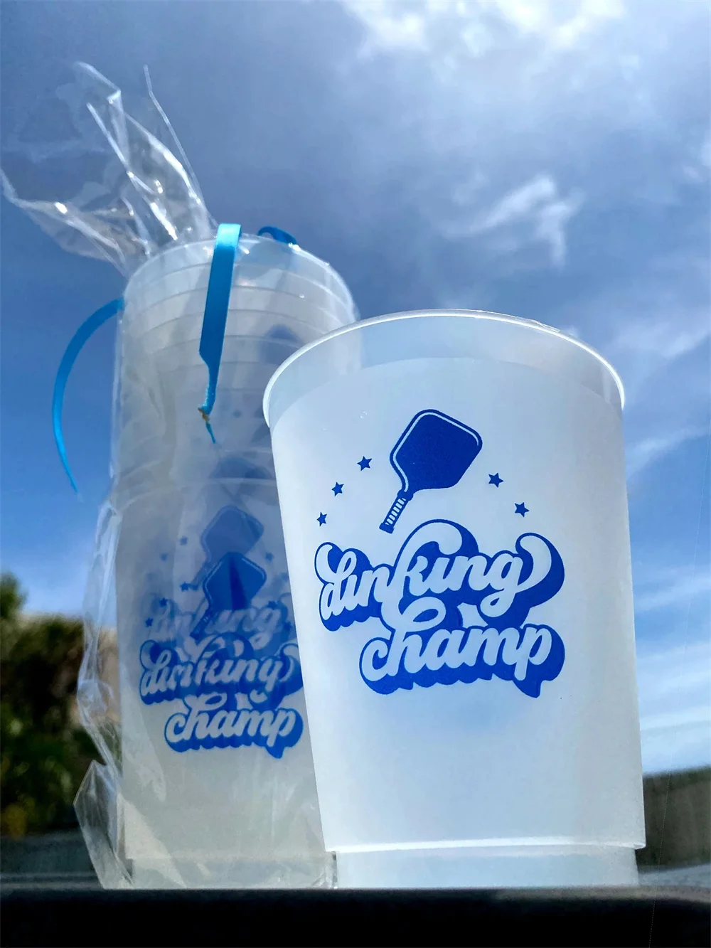 Custom Wedding Bridal Shower Bachelorette Pickleball Party Cups (for Dinks and Drinks)