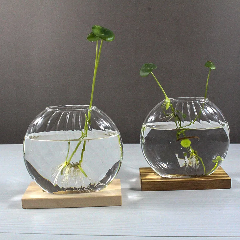 Kreative transparente gestreifte Hydrokultur-Blumenvase, Desktop-Glas-Blumenarrangement, hydroponischer dekorativer Akzent für Zuhause