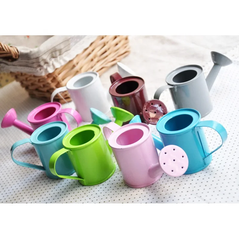 Family Water Bottle Easy Use Handle for Watering Plants Metal Watering Can Garden