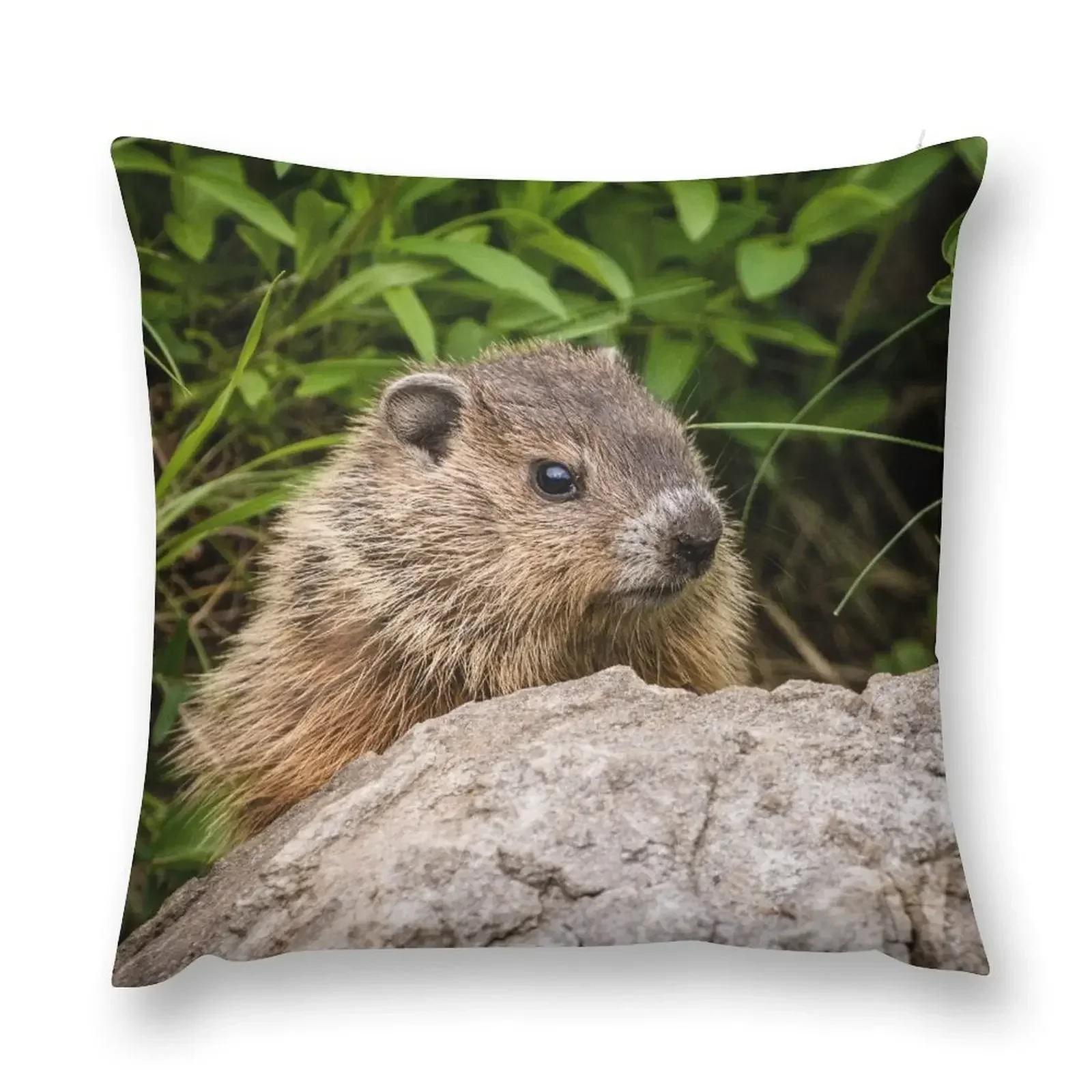 

Woodchuck Throw Pillow Sofa Cushions Couch Cushions pillow pillowcase pillow