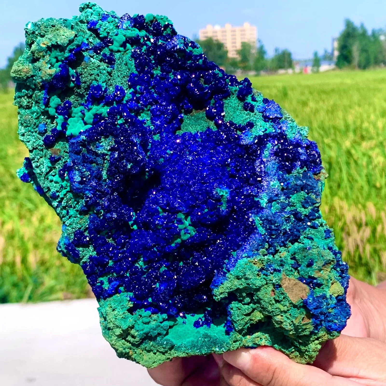 Natural Azurite/Malachite crystal minerals specimens