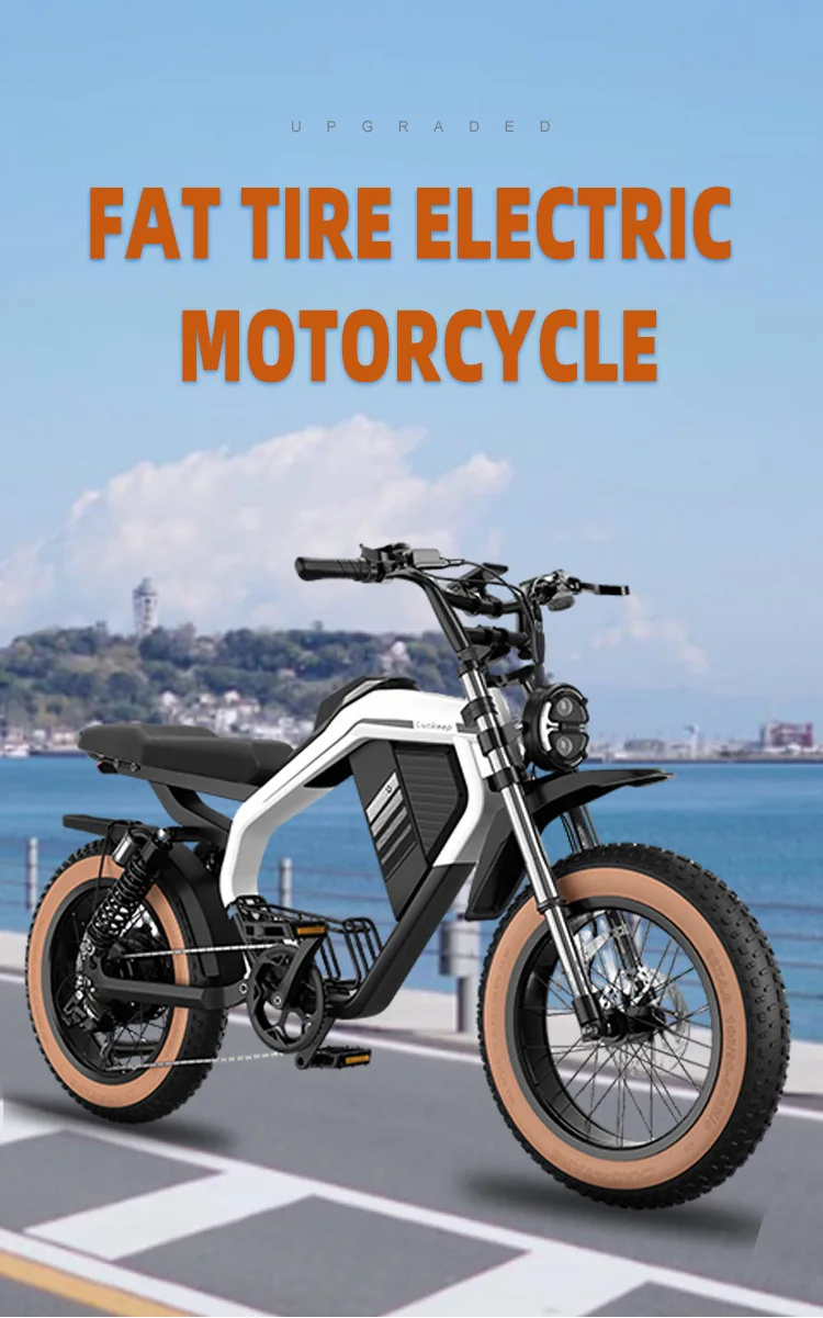 

Европа, Америка, склад, 20-дюймовый электрический внедорожный мотоцикл, пляжная ретро-литиевая батарея, роскошный снегоход