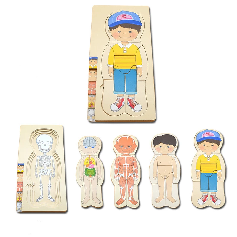 Montessori Wooden Multi-layer Puzzle Human Body Jigsaw Game Boys Girls Body Structure Early Educational Toys For Children Kids