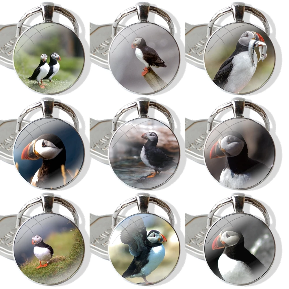 Atlantic Puffin Faroe Islands Keychain Glass Cabochon Metal Pendant Classic Men's Women's Keyring