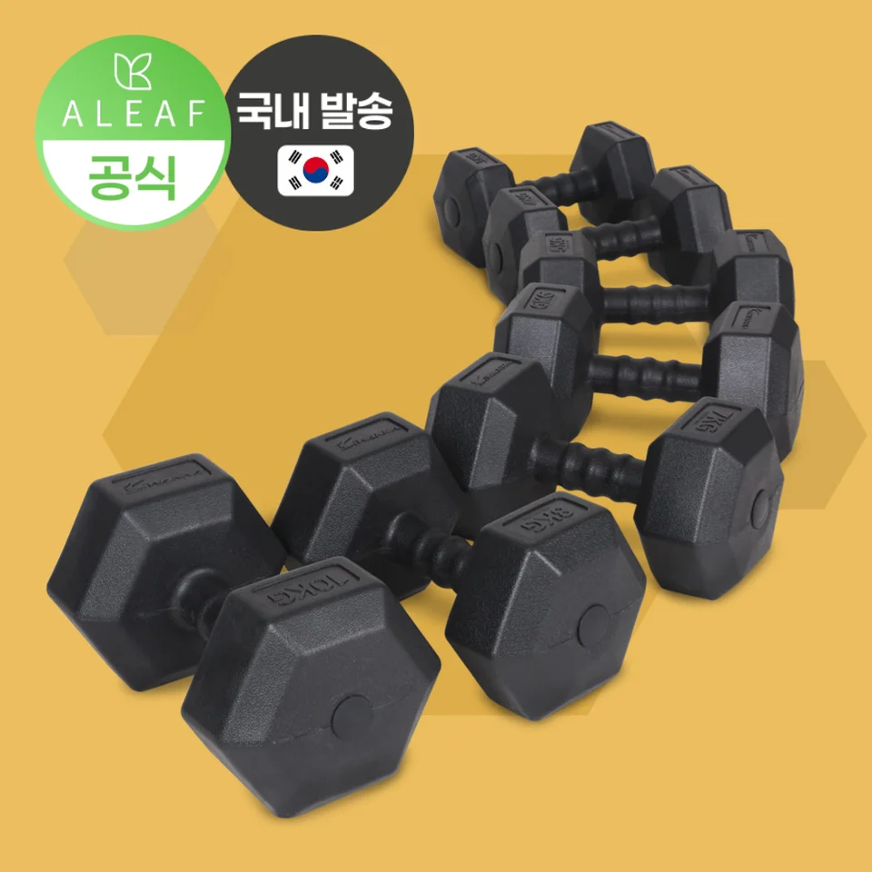 맨즈 육각 옥타곤 아령 덤벨 2~20kg 중량 운동용 헬스 웨이트 피트니스 장비