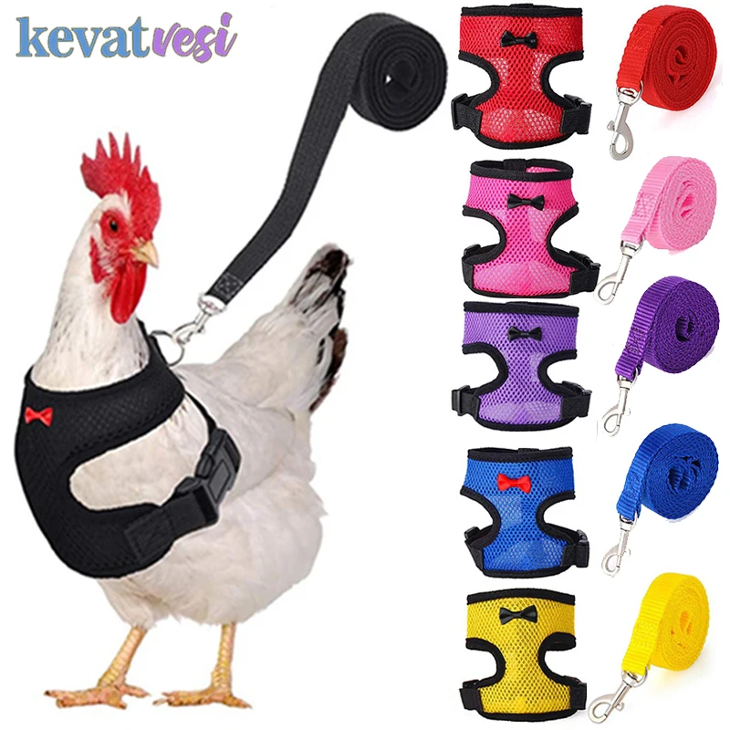 Imbracatura regolabile per gilet di pollo imbracatura per gallina in mesh traspirante collari coordinati allenamento Walking Duck oca accessori per pollo