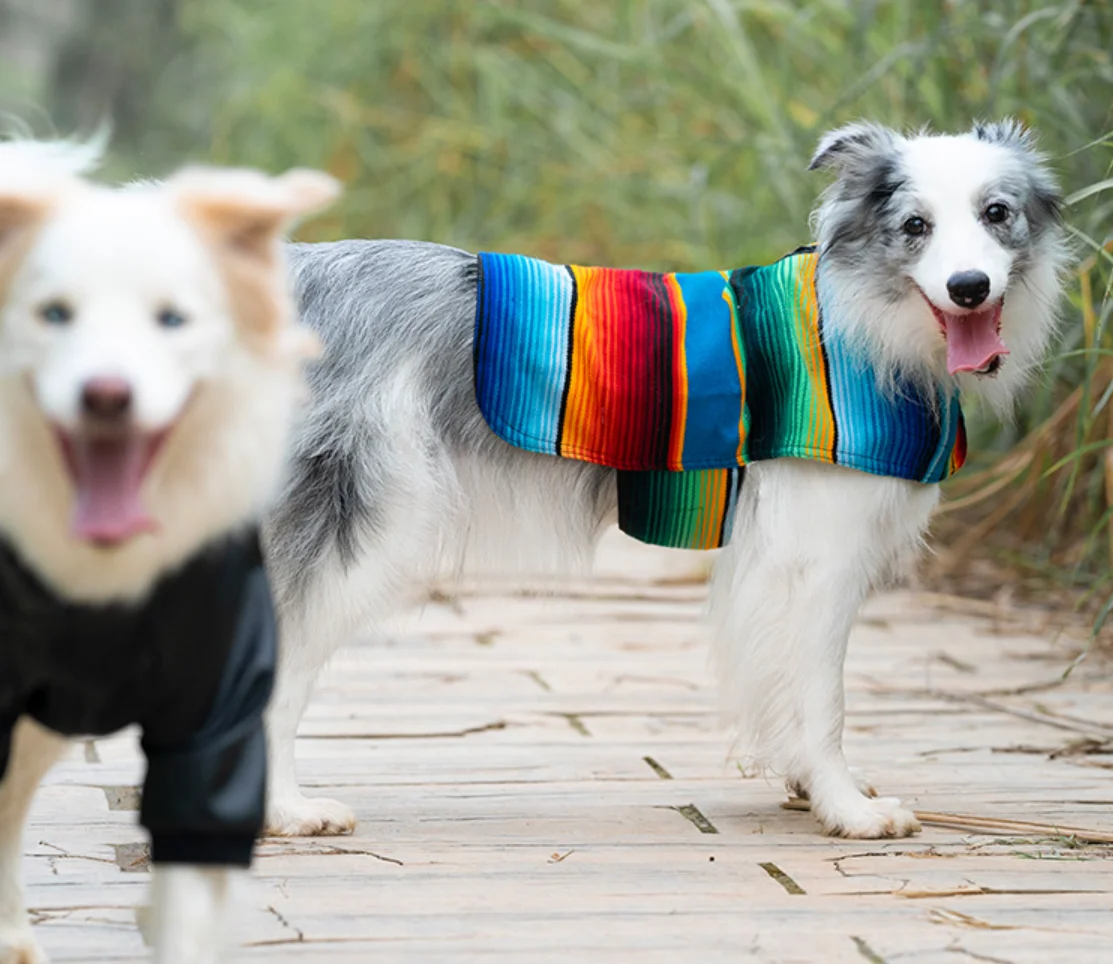 Handmade Dog Poncho from Mexican, Blanket, Southwestern, Tie Dye Dog Vest, Clothes