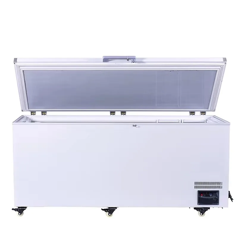 Best Super Large Volume Commercial Horizontal Freezer Fresh Keeper Meat Fish Freezer Chest Freezer for Supermarket Home