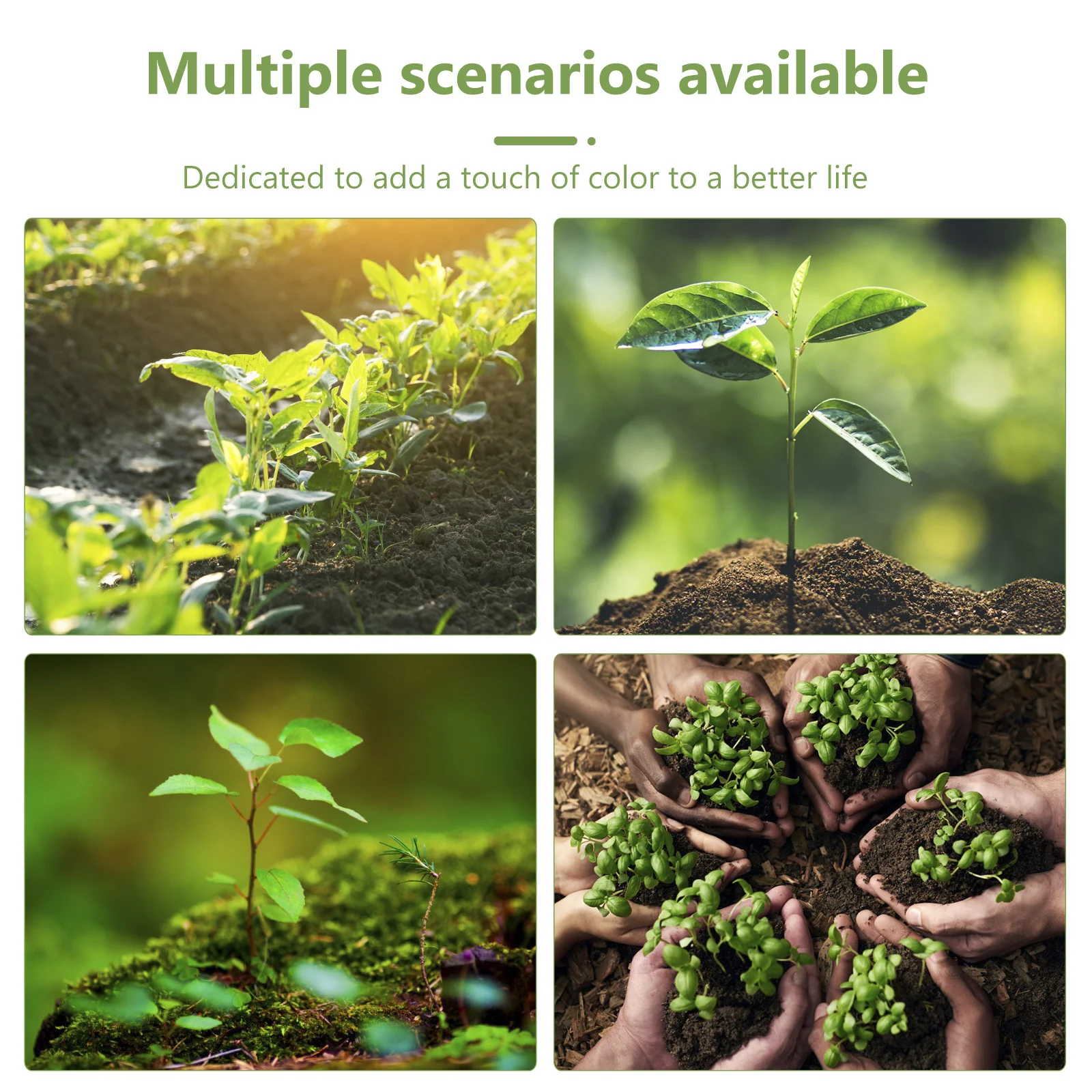 

2Pcs Sowing Tray 13-Hole Plant Growing Trays Durable Material Mini Tools Included for Outdoor Germination Convenient Use