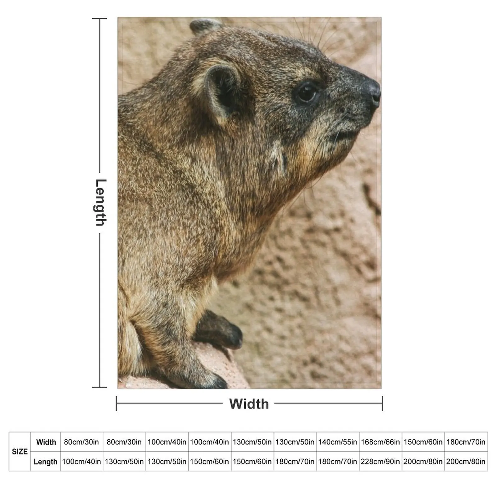 Rock hyrax Throw Blanket Softest Winter beds Plaid Beach Decorative Sofas Decoratives Blankets