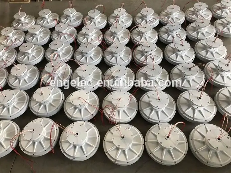 1kw 300rpm low rpm Coreless Maglev Generator wind turbine PMG outer inner rotor 1 kw axial flux permanent magnet motor generator