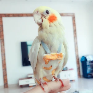 Bir smoothie için ürünlerin en iyi 10 satışı-no. 8