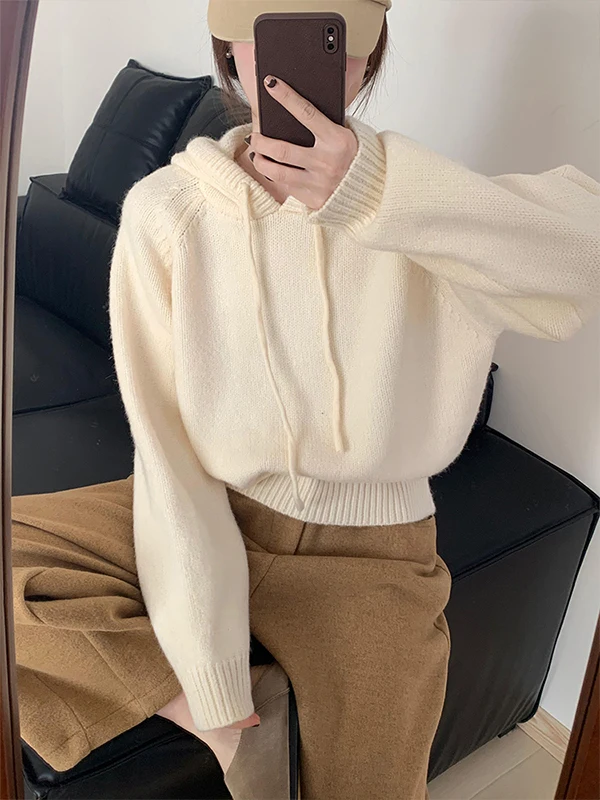 

Commute Hooded Knit Sweater Women Spring Autumn Loose Full Sleeve Knitted Pullover Preppy Style Solid Color Knitwear Tops